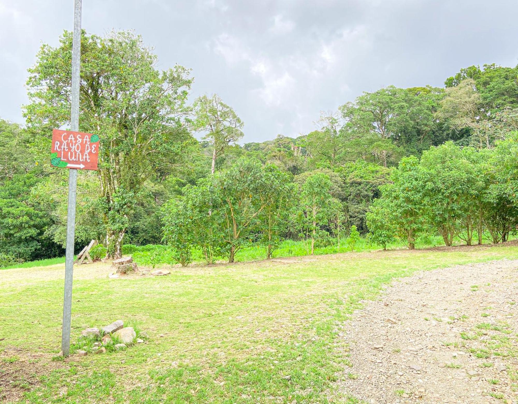 Casa Rayo De Luna Monteverde Екстериор снимка
