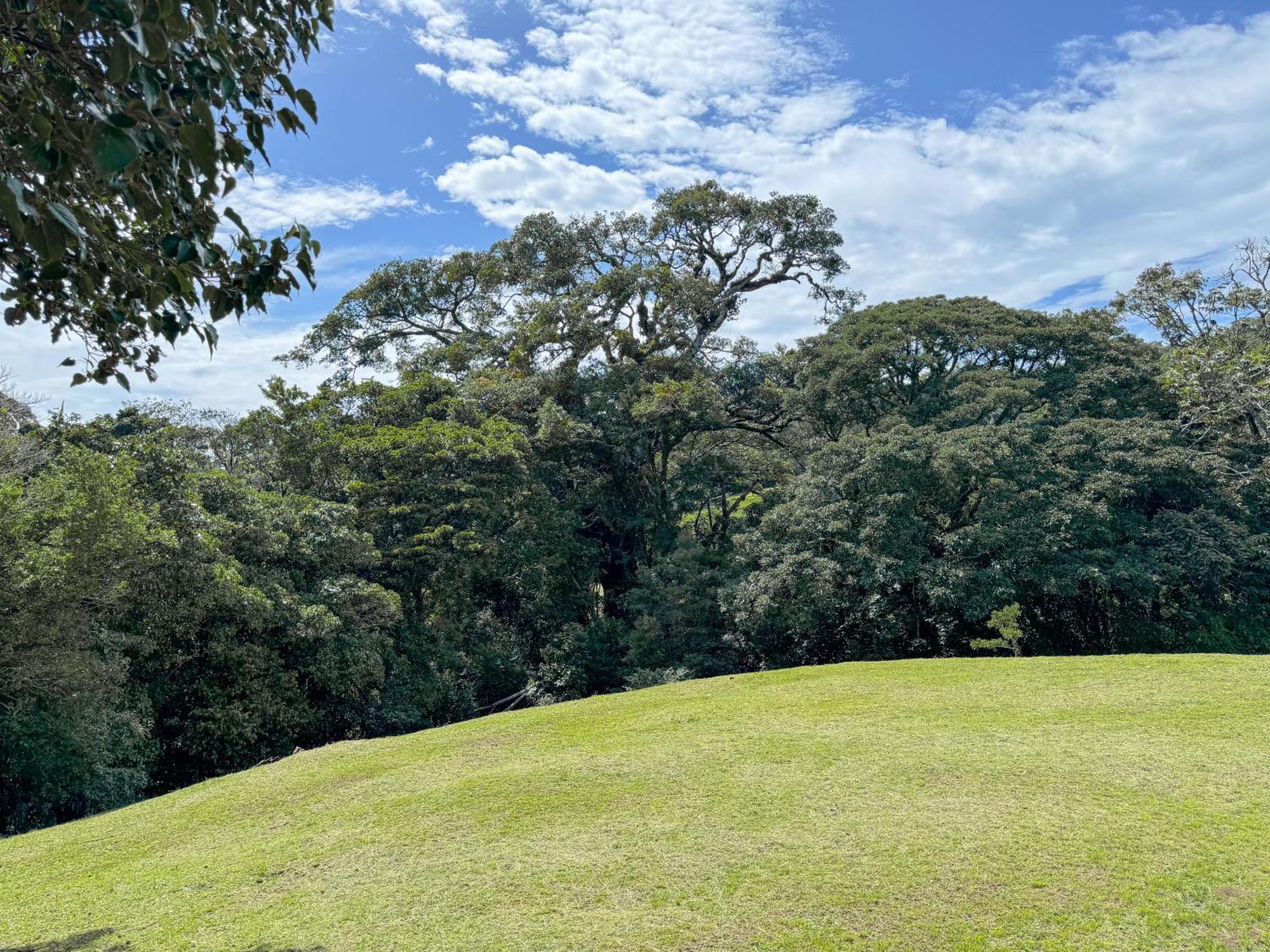 Casa Rayo De Luna Monteverde Екстериор снимка