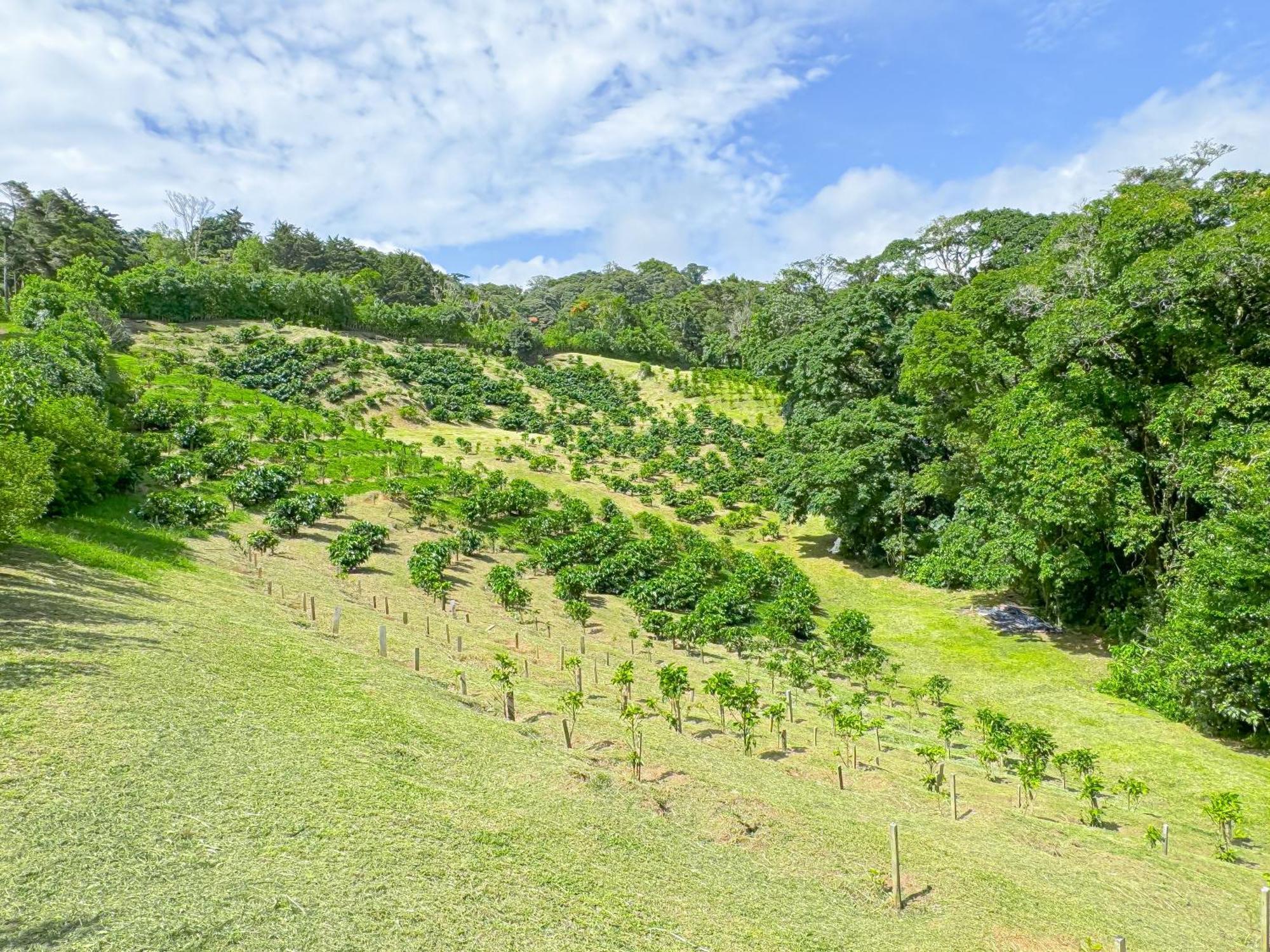 Casa Rayo De Luna Monteverde Екстериор снимка